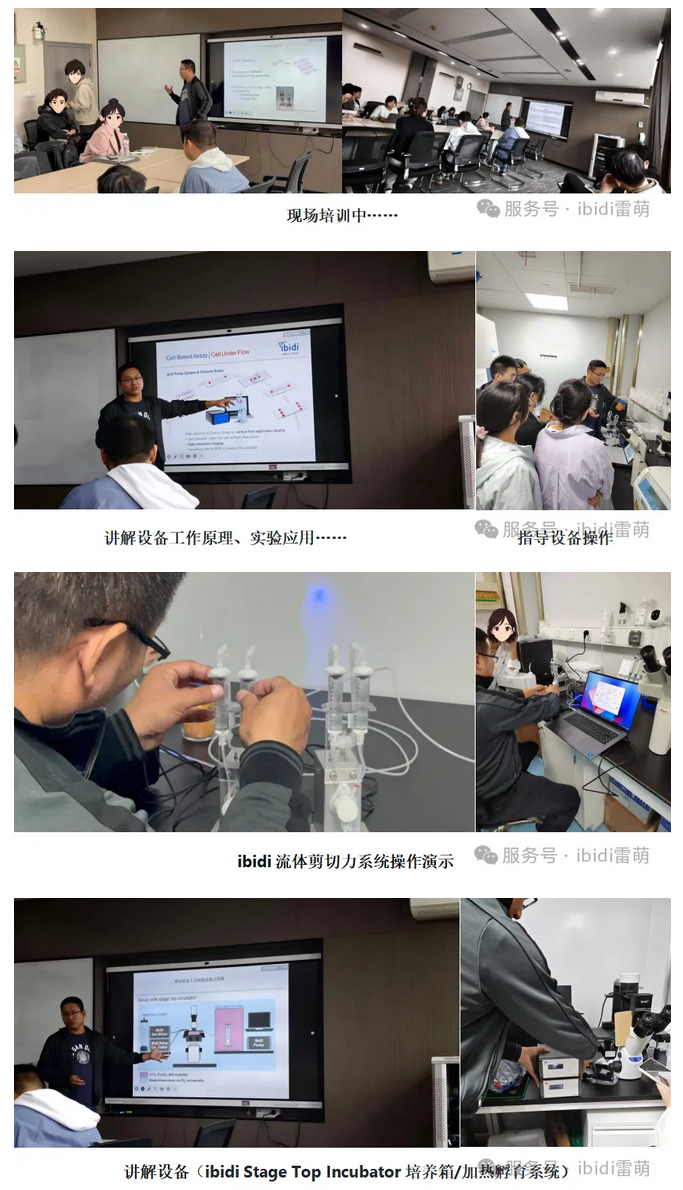 Screenshot 2025-10-24 at 13-47-42 【雷萌生物】技術賦能科研 ibidi流體剪切力系統&活細胞工作站裝機培訓圓滿落幕.png